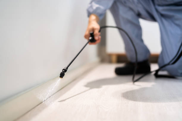 Licensed Pest Control service in Hampton, IL - Show Me Pest Control