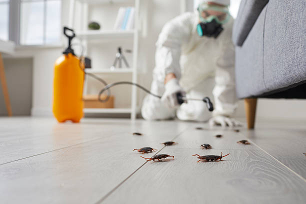 Commercial Kitchen Cockroach Control in Hampton